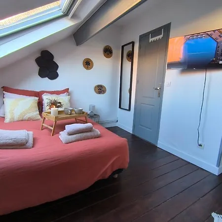 Lerelaisdodile - Conforts - Lille