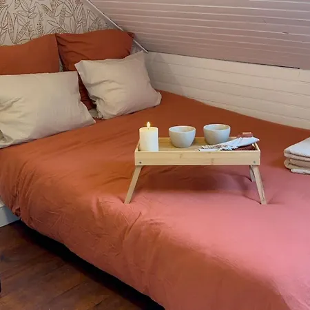 Lerelaisdodile - Conforts - Lille