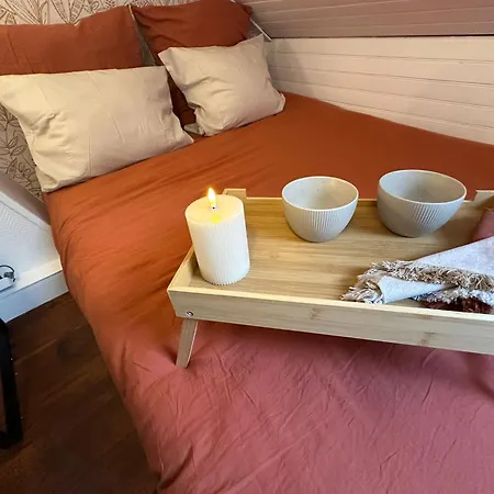 Lerelaisdodile - Conforts - Lille