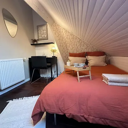 Aparthotel Lerelaisdodile - Conforts - *