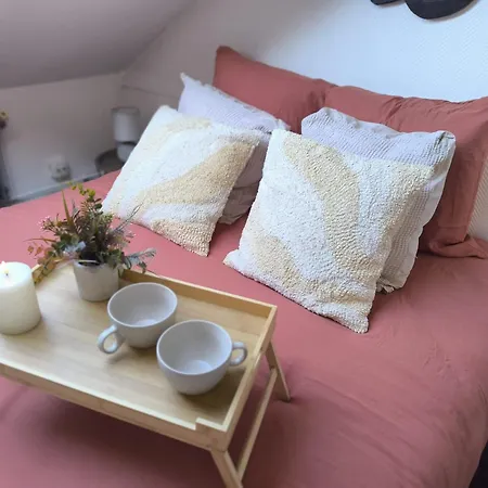 شقة فندقية Lerelaisdodile - Conforts - 3*