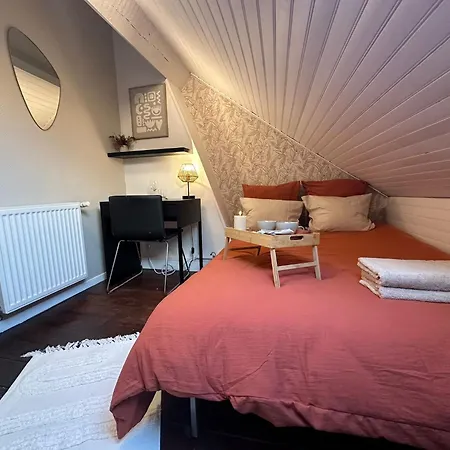 Lerelaisdodile - Conforts - Lejlighedshotel Lille