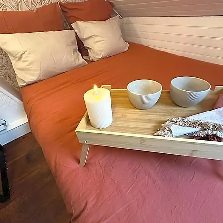 Lerelaisdodile - Conforts -