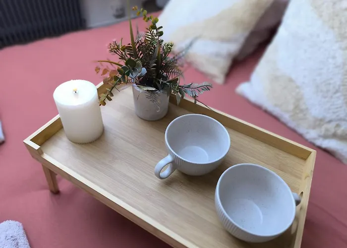 Apart-hotel Lerelaisdodile - Conforts - Lille