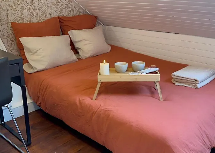 Lerelaisdodile - Conforts - Lille