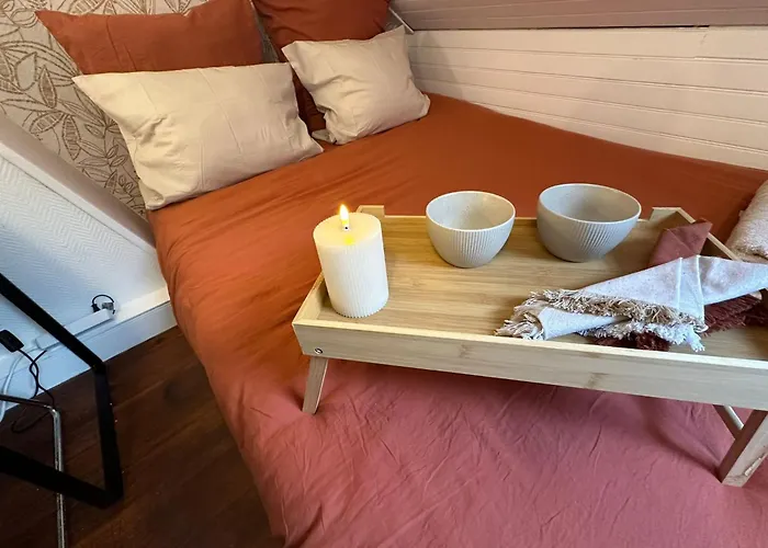 Lerelaisdodile - Conforts - Lille