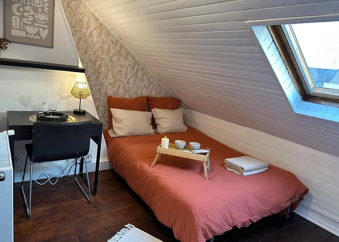 Lerelaisdodile - Conforts - 3* Rijsel