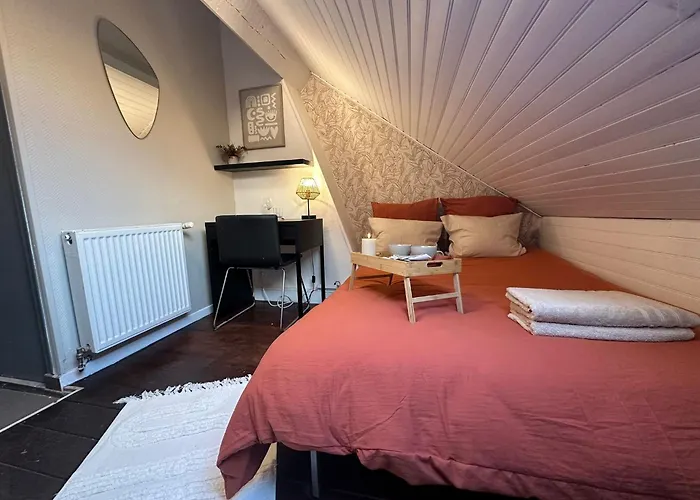 Lerelaisdodile - Conforts - Aparthotel Rijsel