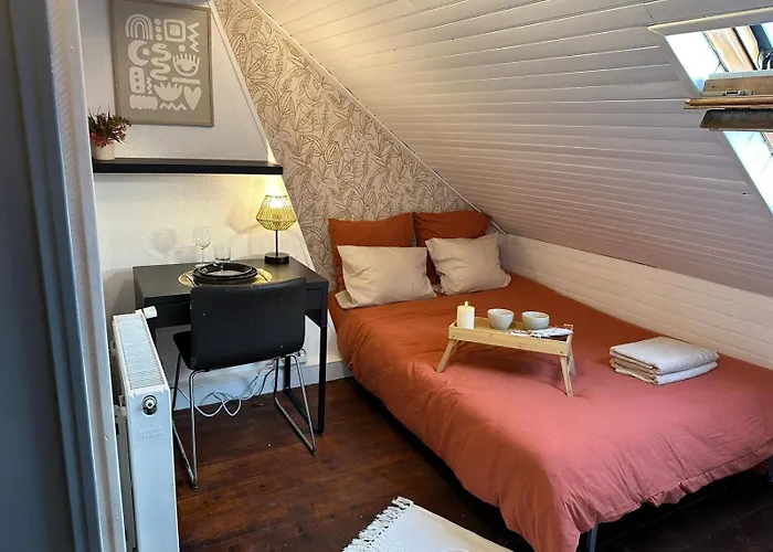 Aparthotel Lerelaisdodile - Conforts - Rijsel