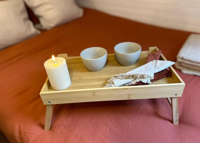 Apart-hotel Lerelaisdodile - Conforts - Lille