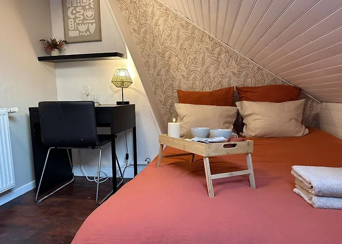 Lerelaisdodile - Conforts - 3* Rijsel