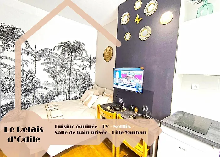 Aparthotel Lerelaisdodile - Conforts - 3*