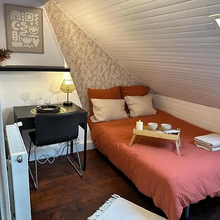Apartmanhotel Lerelaisdodile - Conforts - Lille