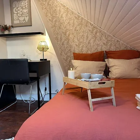 Lerelaisdodile - Conforts - 3* Lille
